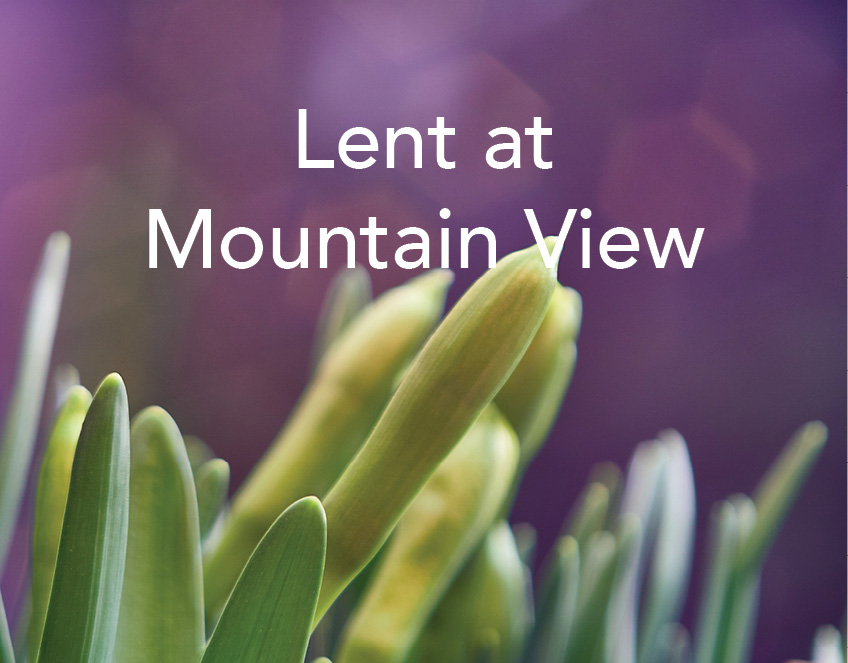 Lent-at-Mountain-View.jpg