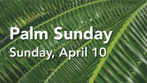 Announcement slide - Palm Sunday